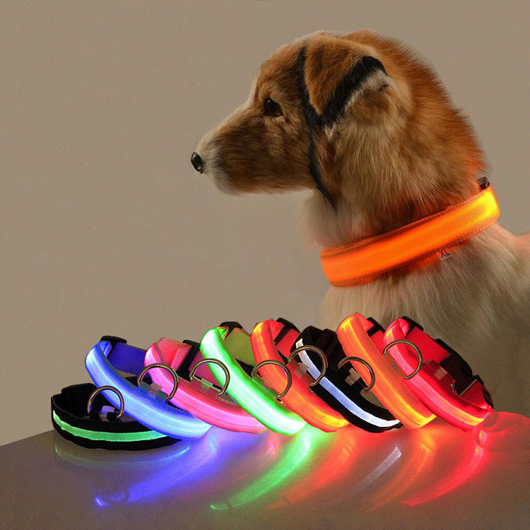 LED Safety Dog Collar – USB Rechargeable & Adjustable for Night Visibility