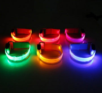 LED Safety Dog Collar – USB Rechargeable & Adjustable for Night Visibility